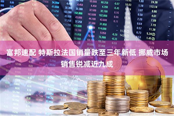 富邦速配 特斯拉法国销量跌至三年新低 挪威市场销售锐减近九成