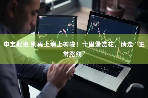 申宝配资 别再上墙上树啦！十里堡赏花，请走“正常路线”