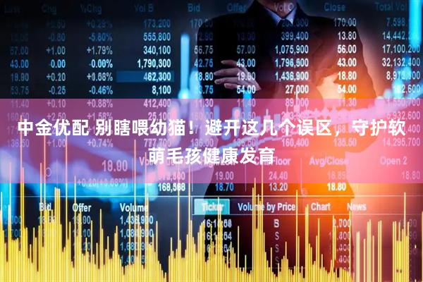中金优配 别瞎喂幼猫！避开这几个误区，守护软萌毛孩健康发育