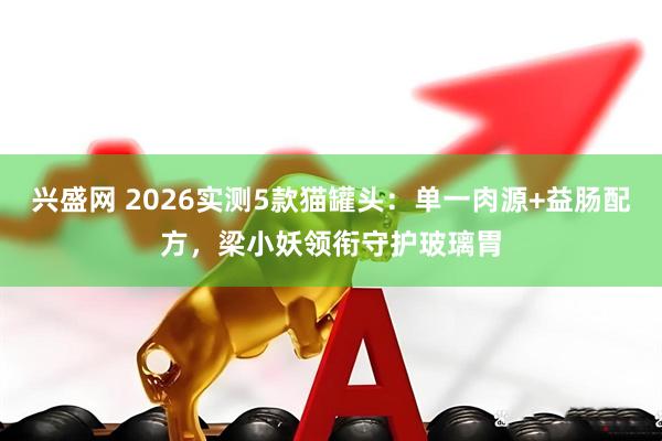 兴盛网 2026实测5款猫罐头：单一肉源+益肠配方，梁小妖领衔守护玻璃胃