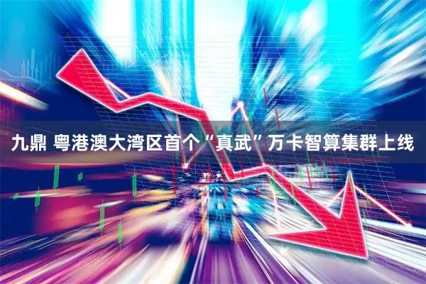 九鼎 粤港澳大湾区首个“真武”万卡智算集群上线